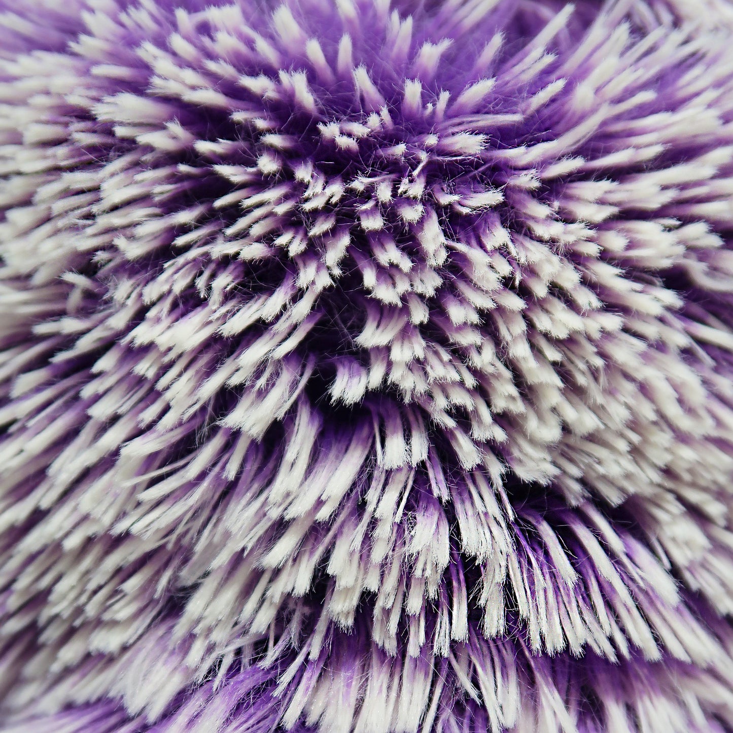 Le MarXen | Orchid