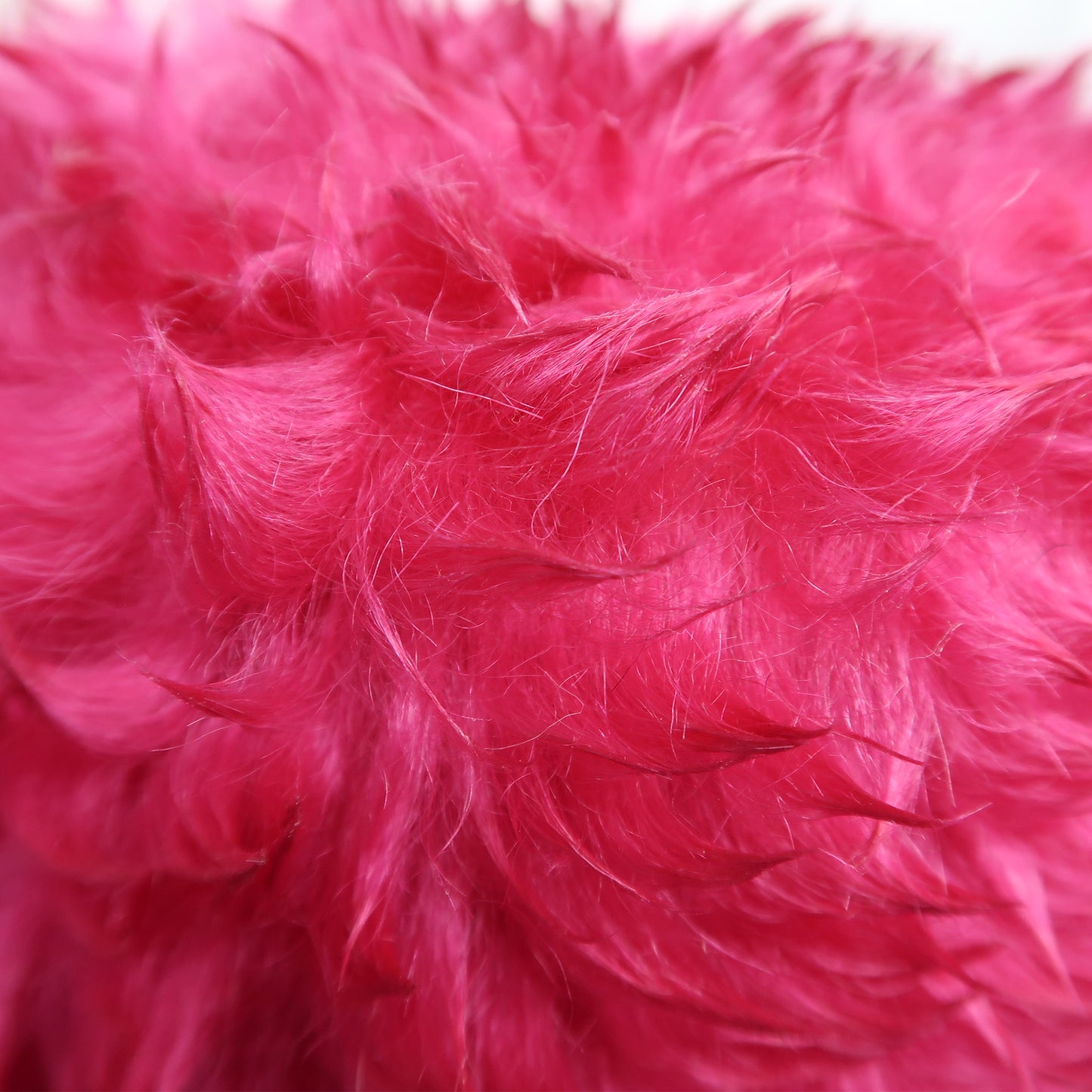 Le MarXen | Pink Cactus